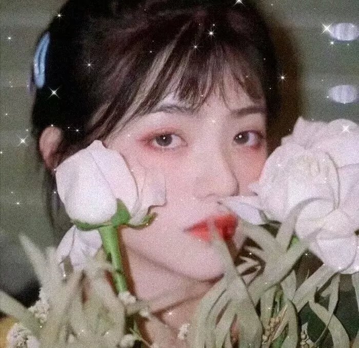 重回秘密花园